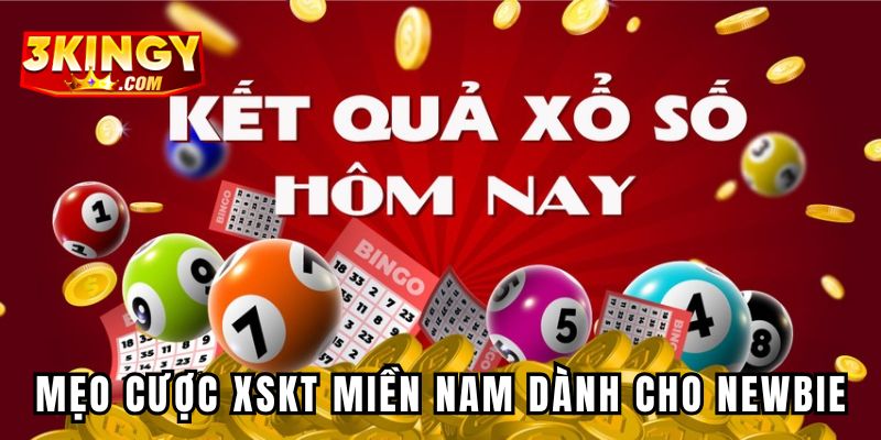 Mẹo cược XSKT miền Nam dành cho newbie